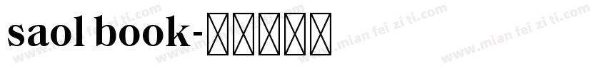 saol book字体转换